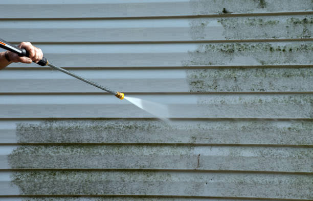 Best Driveway Pressure Washing  in Valdosta, GA